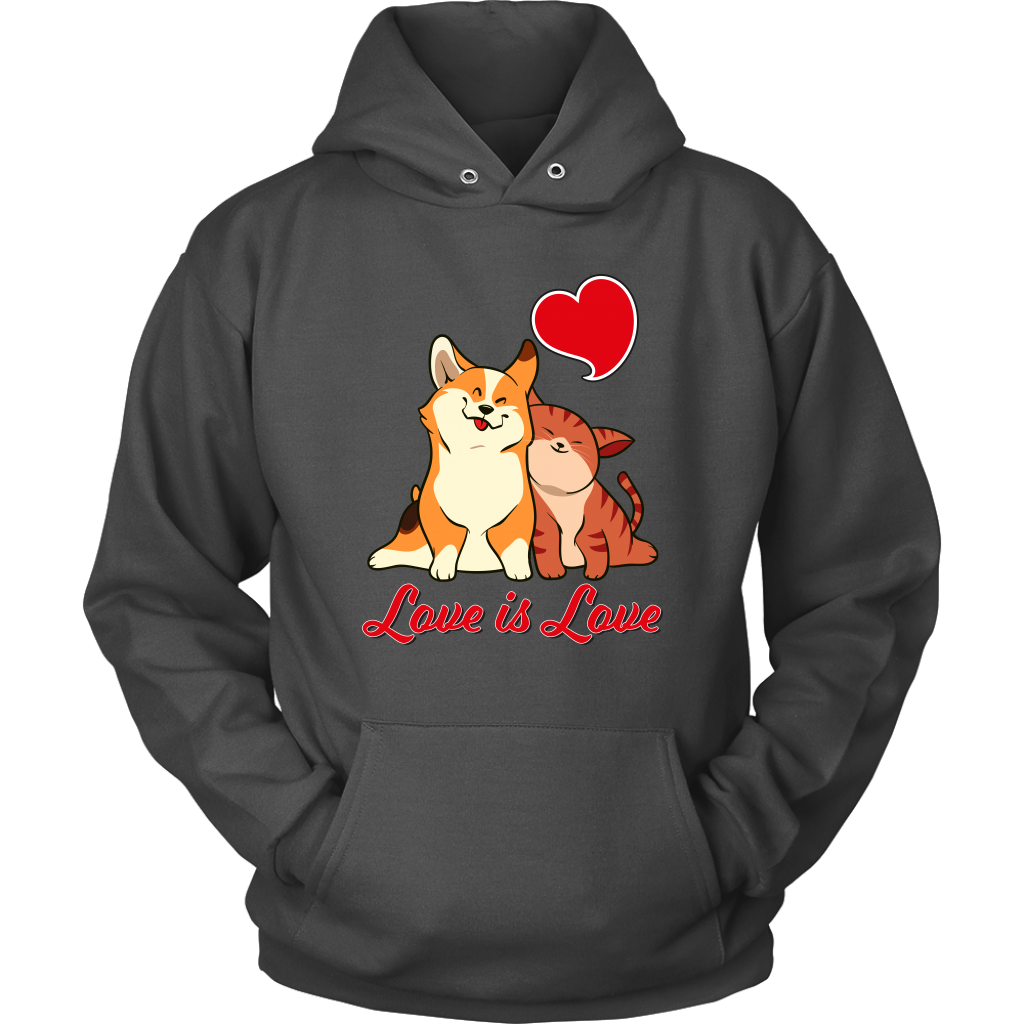 Our "Love is Love" hoodie in dark grey. 